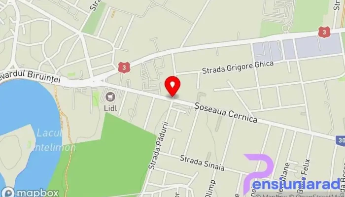 hartă a Cernica Garden Restaurant în Pantelimon
