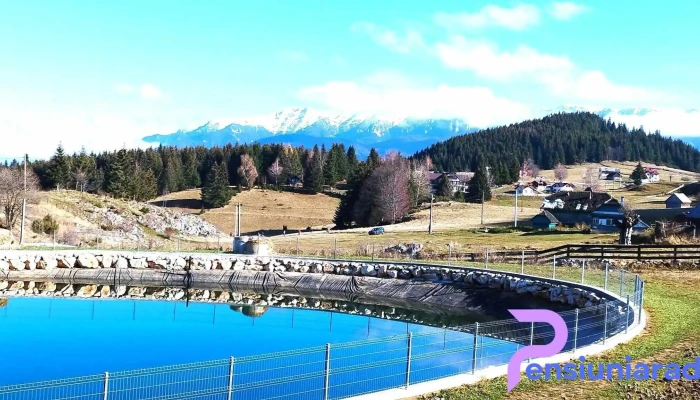 Cheile Gradistei Resort Fundata -  Dotari - Fundata
