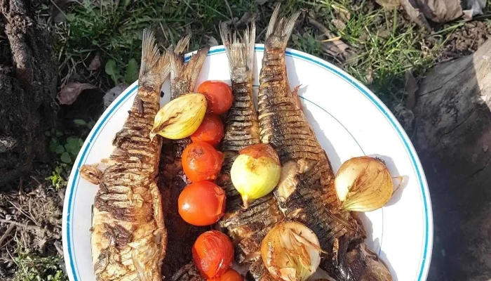 Cherhanaua Veche -    Sfantu Gheorghe Mancaruribauturi - Sfântu Gheorghe