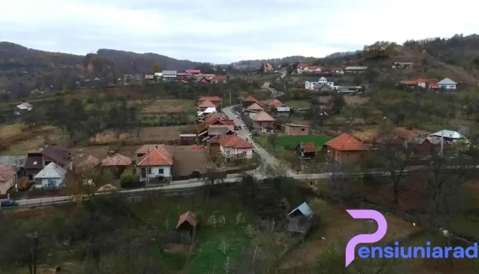 Cicanesti Videoclipuri - Cicănești