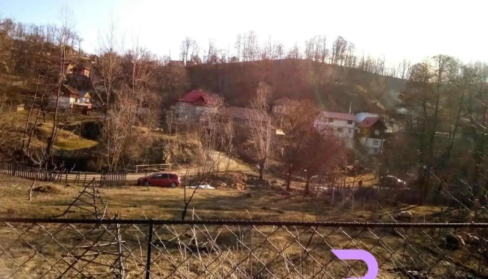 Cicănești - Cicănești