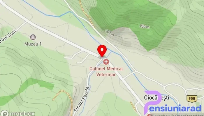 hartă a Ciocănești  în Ciocănești