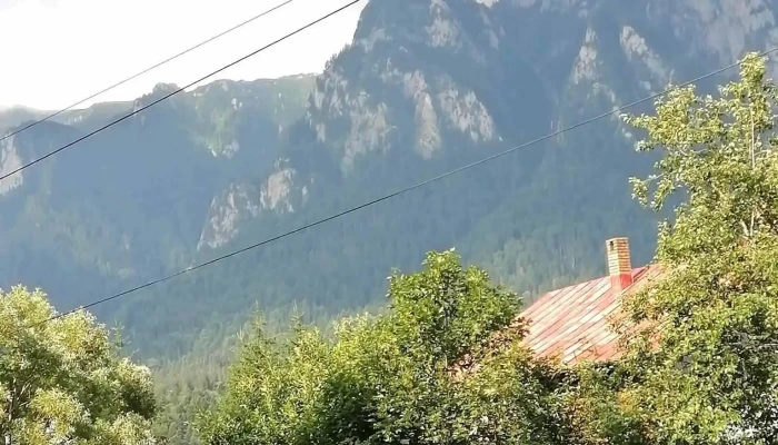 Clasic -  De La Vizitatori - Bușteni