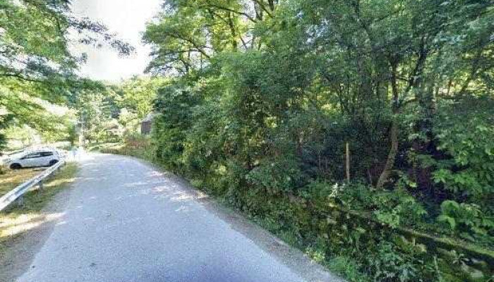 Clubul Bradetu -  Street View Si 360deg - Gruiu