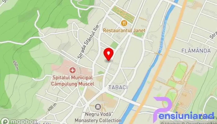 hartă a CoArt Restaurant în Câmpulung