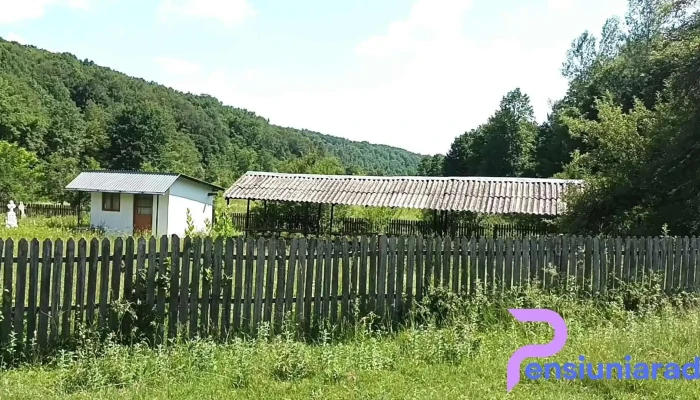 Cocu - Cocu