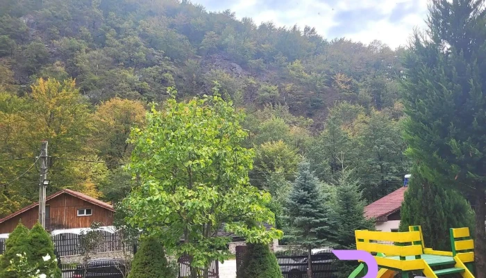Complex Ginivisa -  De La Vizitatori - Gureni