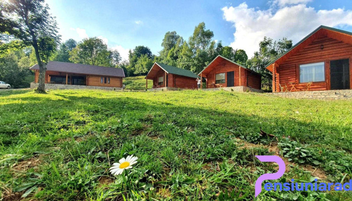 Complex Traisteni -  Instagram - Trăisteni