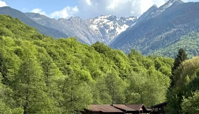 Complex Turistic Pastravaria Albota Cele Mai Recente - Sibiu
