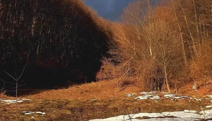 Comuna Calvini -  Instagram - Romania