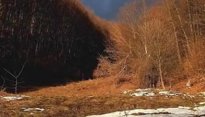 Comuna Calvini - Romania