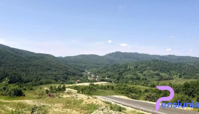 Comuna Cosminele -  Adresă - Romania