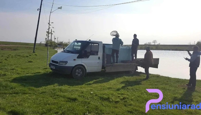 Comuna Dragoesti Program - Romania