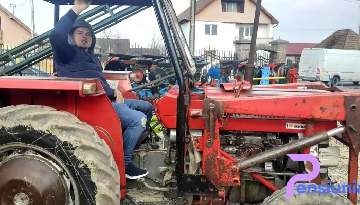 Comuna Faraoani -  Cum Să Ajungi Acolo - Romania