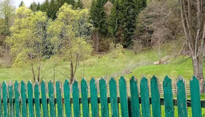 Comuna Frumosu -  Fotografii - Romania