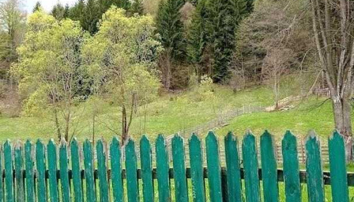Comuna Frumosu - Romania