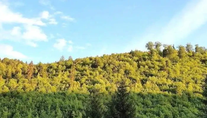 Comuna Ghelința - Romania