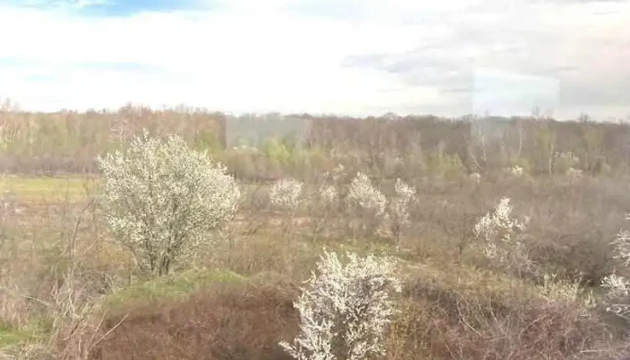 Comuna Grădinari - Romania