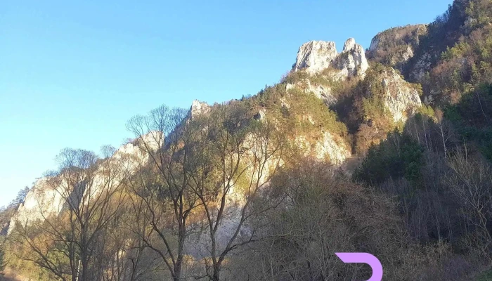 Comuna Intregalde Prețuri - Romania