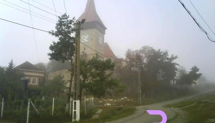Comuna Lechinta Site Web - Romania