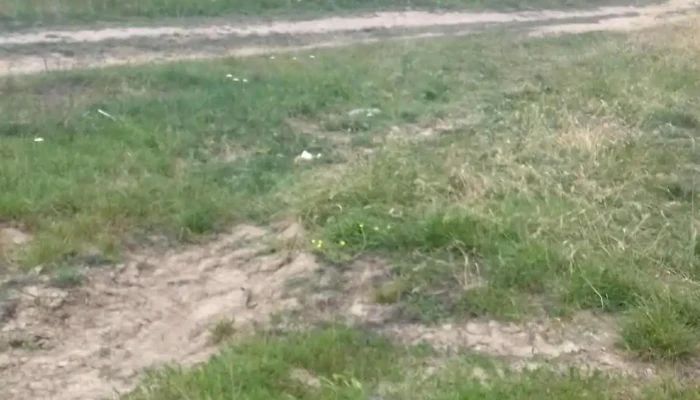 Comuna Lunca Corbului -  Reduceri - Romania