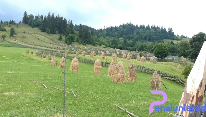 Comuna Manastirea Humorului Program - Romania
