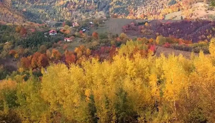 Comuna Manzalesti Munte - Romania