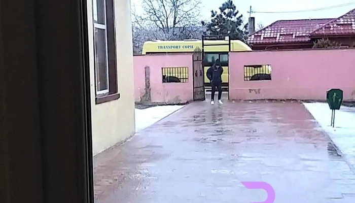 Comuna Niculești - Romania