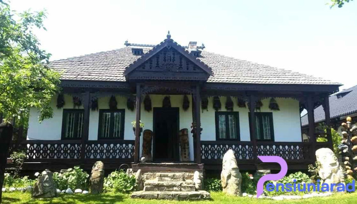 Comuna Petricani - Romania