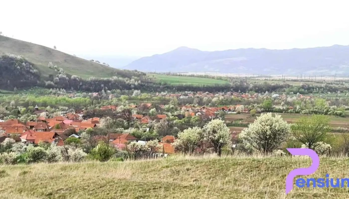 Comuna Pui -  Munte - Romania