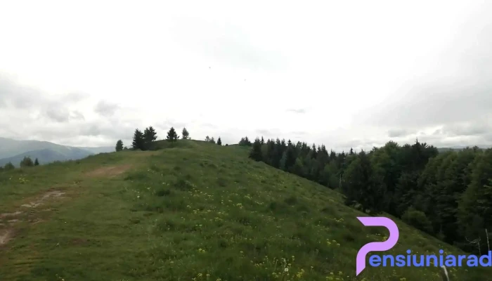 Comuna Secaria Videoclipuri - Romania