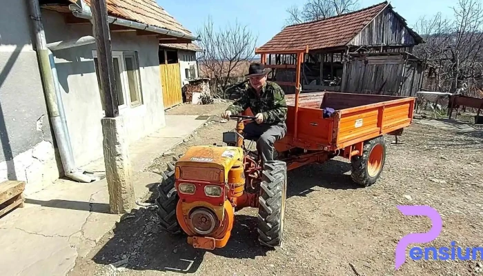 Comuna Stremt Videoclipuri - Romania