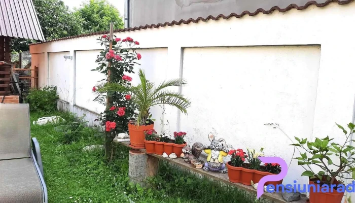 Comuna Tomșani - Romania