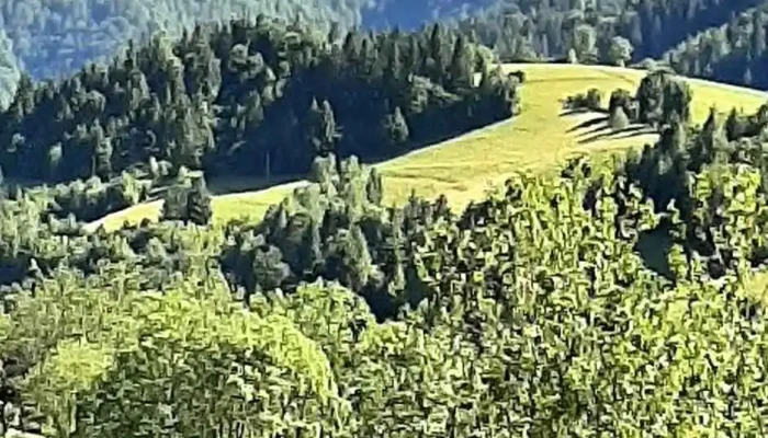 Comuna Vadu Motilor Munte - Romania