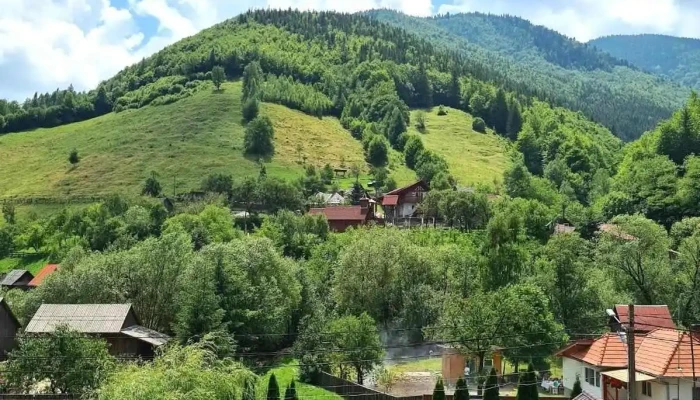 Comuna Valea Ierii -  Program - Romania