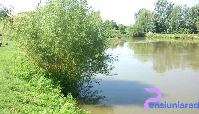 Comuna Zadareni Număr - Romania