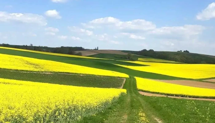 Comuna Zorlențu Mare - Romania
