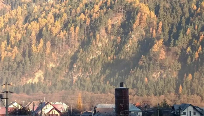 Conacul Bucovinei -  De La Vizitatori - Pojorâta