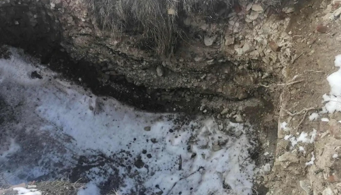 Conacul Cantacuzino -  Pascanu Zonă - Ceplenița