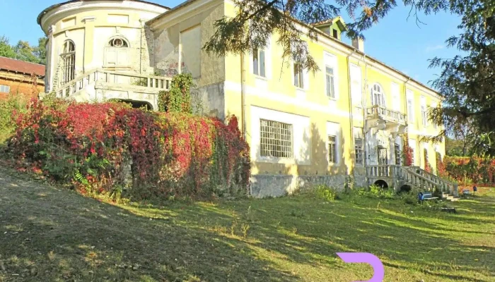Conacul Crupenschi -  Număr - Podoleni
