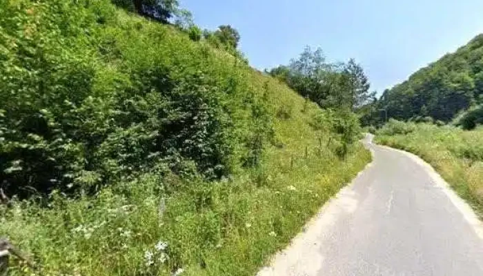 Conacul Din Padure Street View Si 360deg - Poiana Mărului