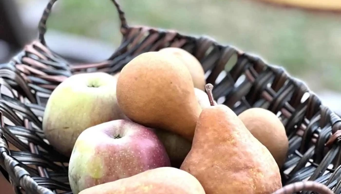 Conacul Doamnei Comuna Corbi Arges   Pensiune Agroturistica Mancaruribauturi - Poduri