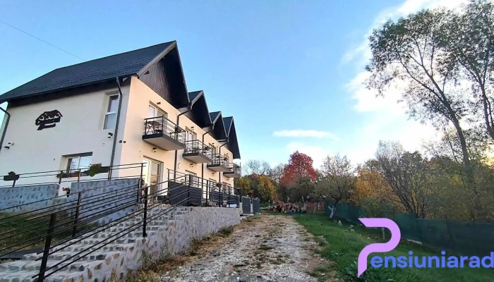 Conacul Doamnei Nucsoara De La Vizitatori - Nucșoara
