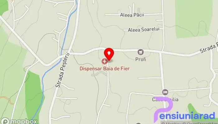 Conacul Olarilor -  Hartă - Baia De Fier