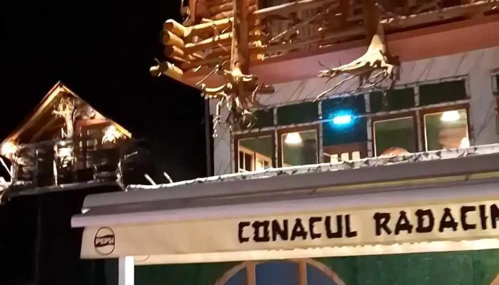 Conacul Radacinilor -  Exterior - Dn7a