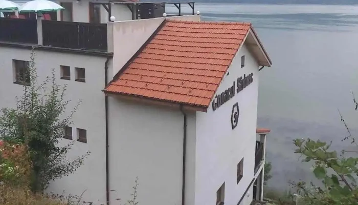Conacul Sarbesc Aproape De Mine - Sviniţa
