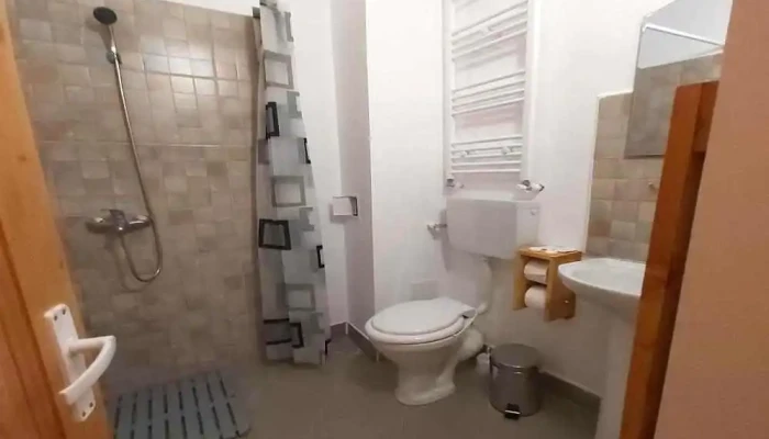 Conacul Sarbesc De La Proprietar - Sviniţa