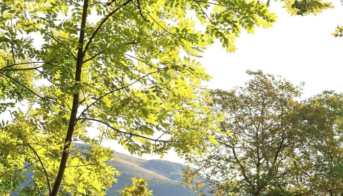 Conacul Secaria Aproape De Mine - Secăria