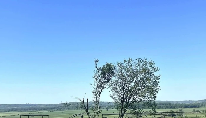 Conacul Teisanu Comentarii - Coţofenii Din Faţă