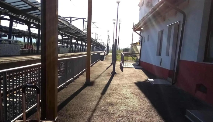 Copsa Mica Număr - Copșa Mică